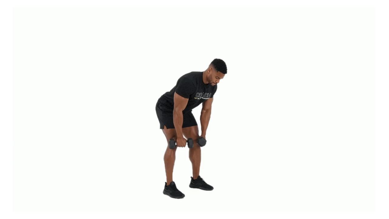 Dumbbell Y Raise