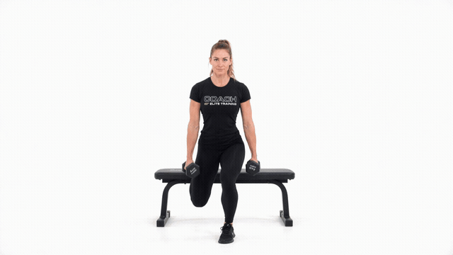 Dumbbell Bench Bulgarian Split Squat