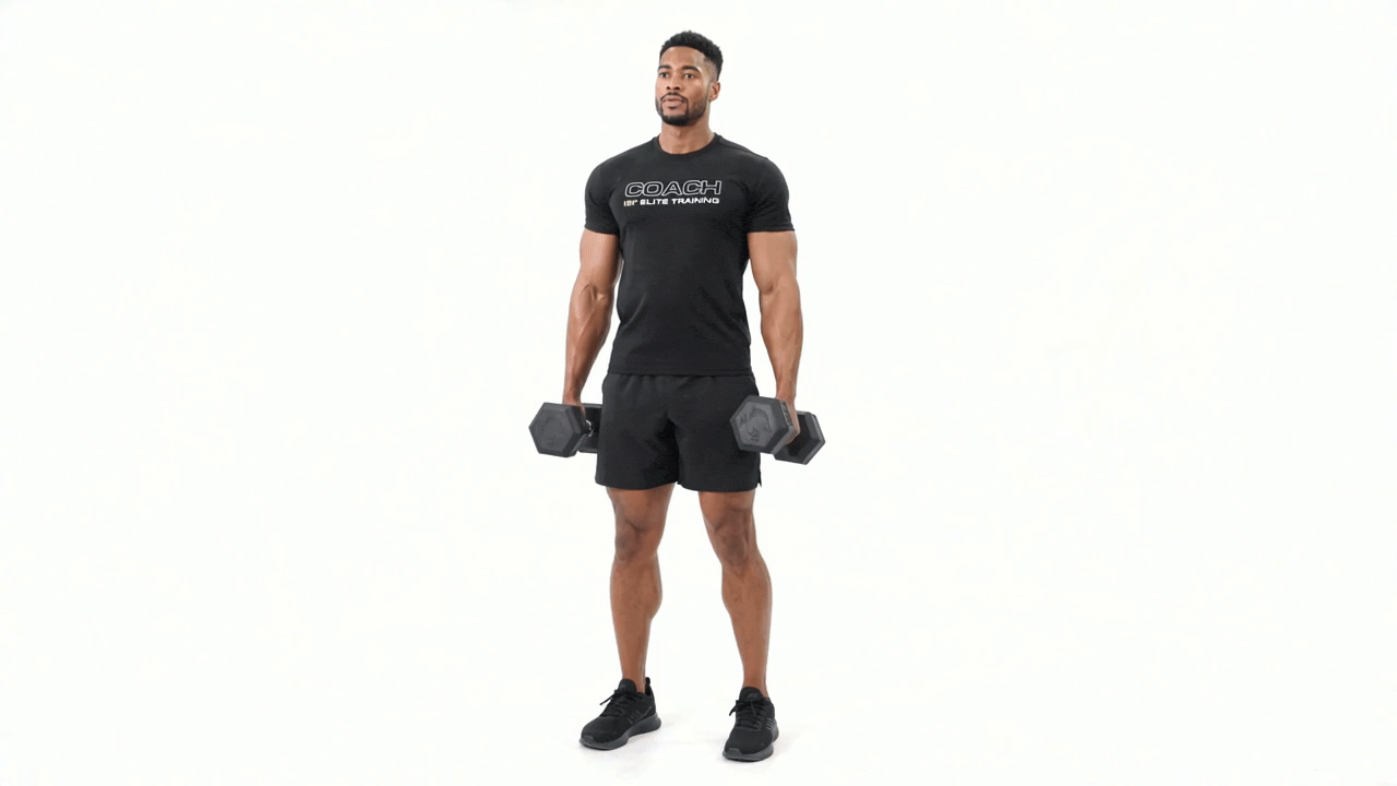 Dumbbell Clean