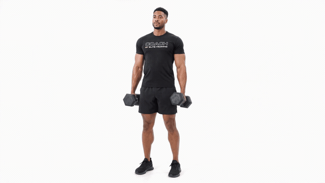 Dumbbell Clean