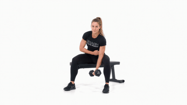 Dumbbell Concentration Curl