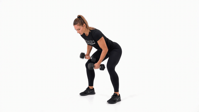 Dumbbell Cross Rows