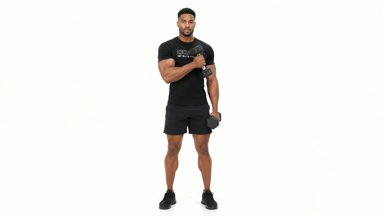 Dumbbell Crossbody Hammer Curl