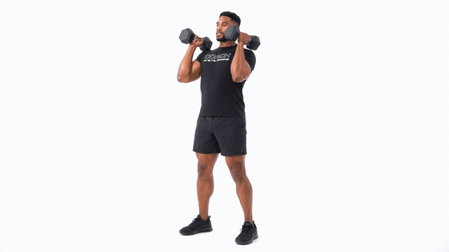 Dumbbell Double Hang Snatch