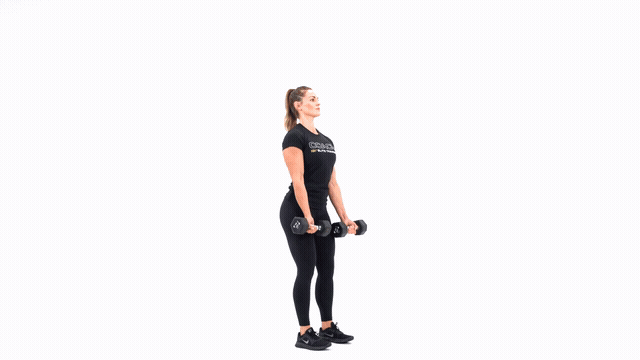 Dumbbell Drag Curl