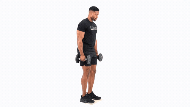Dumbbell Elevated Calf Raise