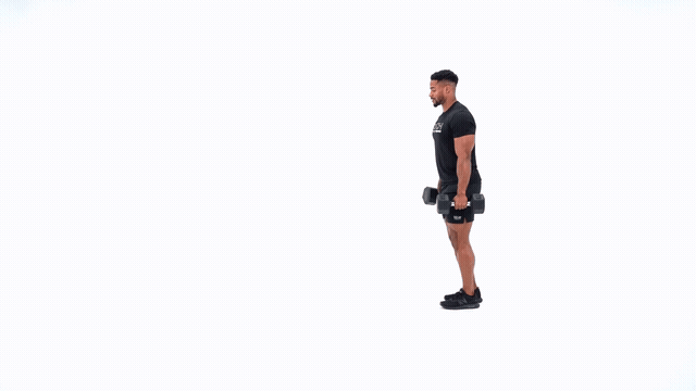 Dumbbell Elevator Lunges