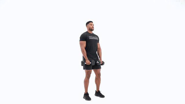 Dumbbell Front to Lateral Raise