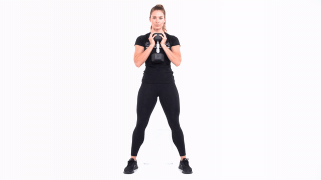 Dumbbell Goblet Wide Stance Bench Squat
