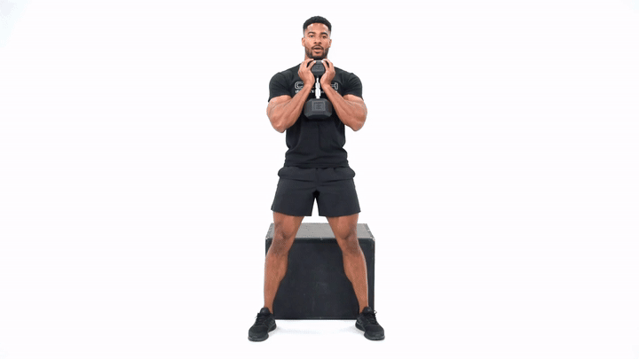 Dumbbell Goblet Wide Stance Box Squat