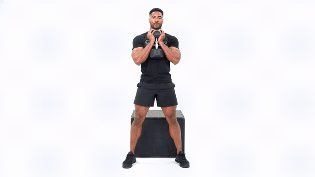 Dumbbell Goblet Wide Stance Box Squat