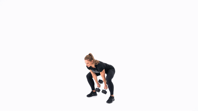 Dumbbell GTOH