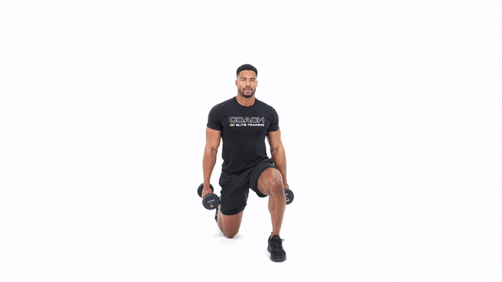 Dumbbell Half Kneeling Hammer Curl to Press