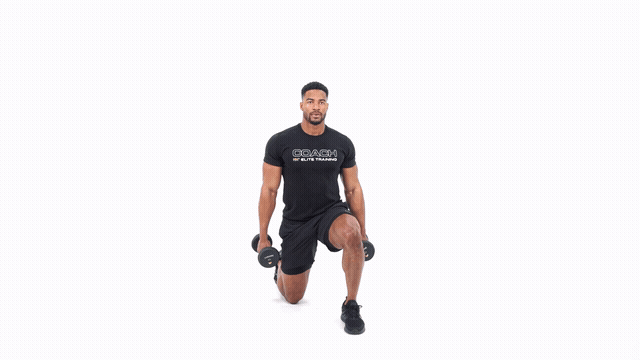 Dumbbell Half Kneeling Hammer Curl to Press