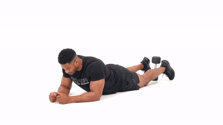 Dumbbell Hamstring Curl