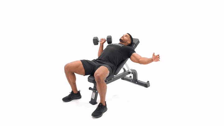 Dumbbell Incline Bench Single Arm Chest Press