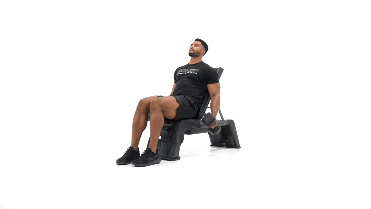 Dumbbell Bench Incline Curl