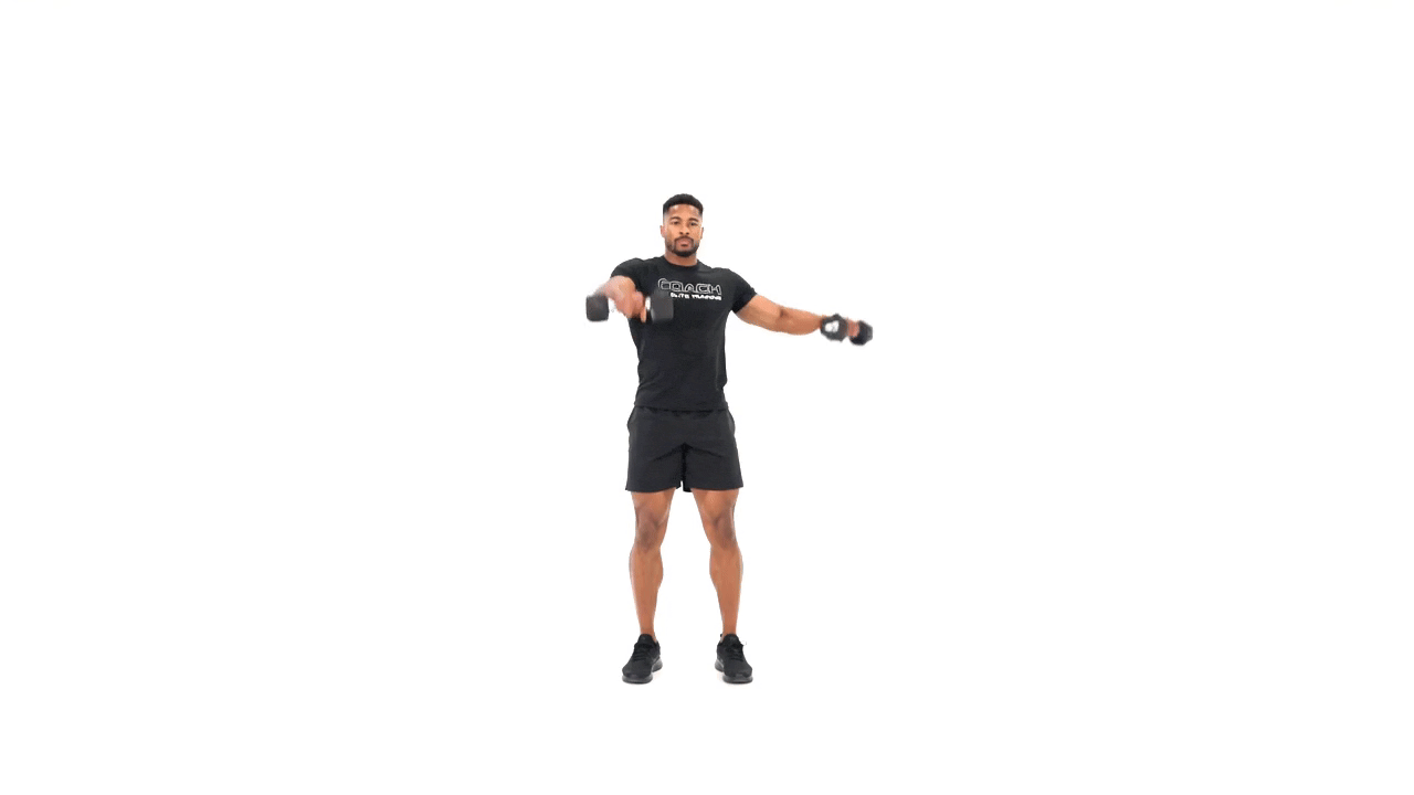 Dumbbell L Raise
