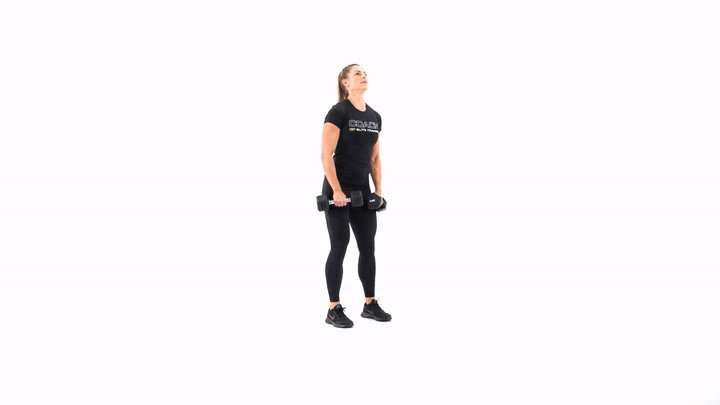Dumbbell Lateral Raise