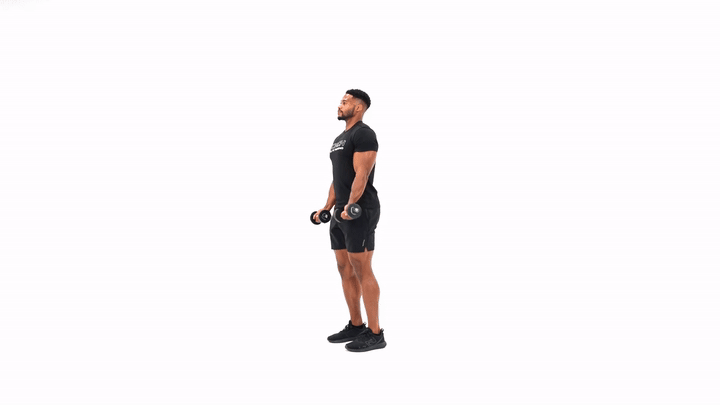 Dumbbell Low Curl