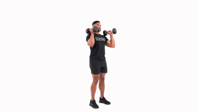 Dumbbell OH Press to Alternating Knee Drive