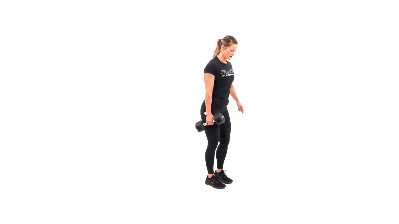 Dumbbell Reverse Lunge to Single Arm Row