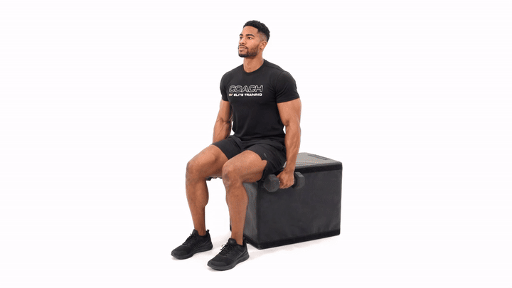 Dumbbell Seated Lateral Raise