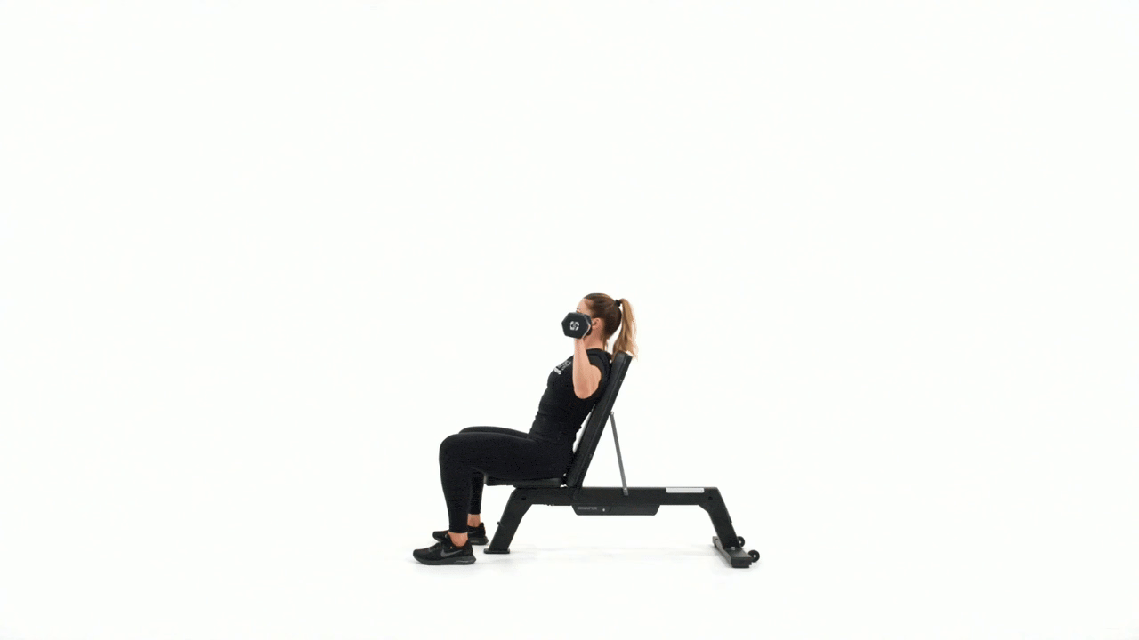 Dumbbell Bench Seated Military Press