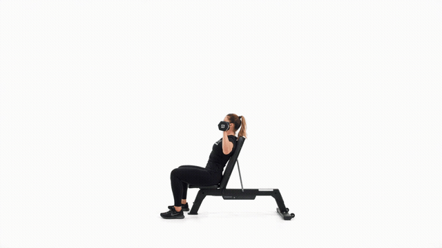 Dumbbell Bench Seated Military Press