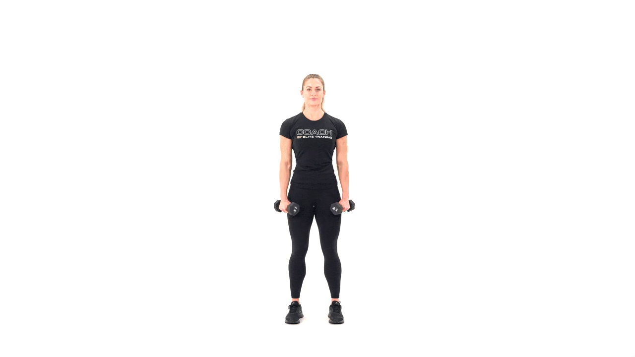 Dumbbell Shoulder 6-Way Raise