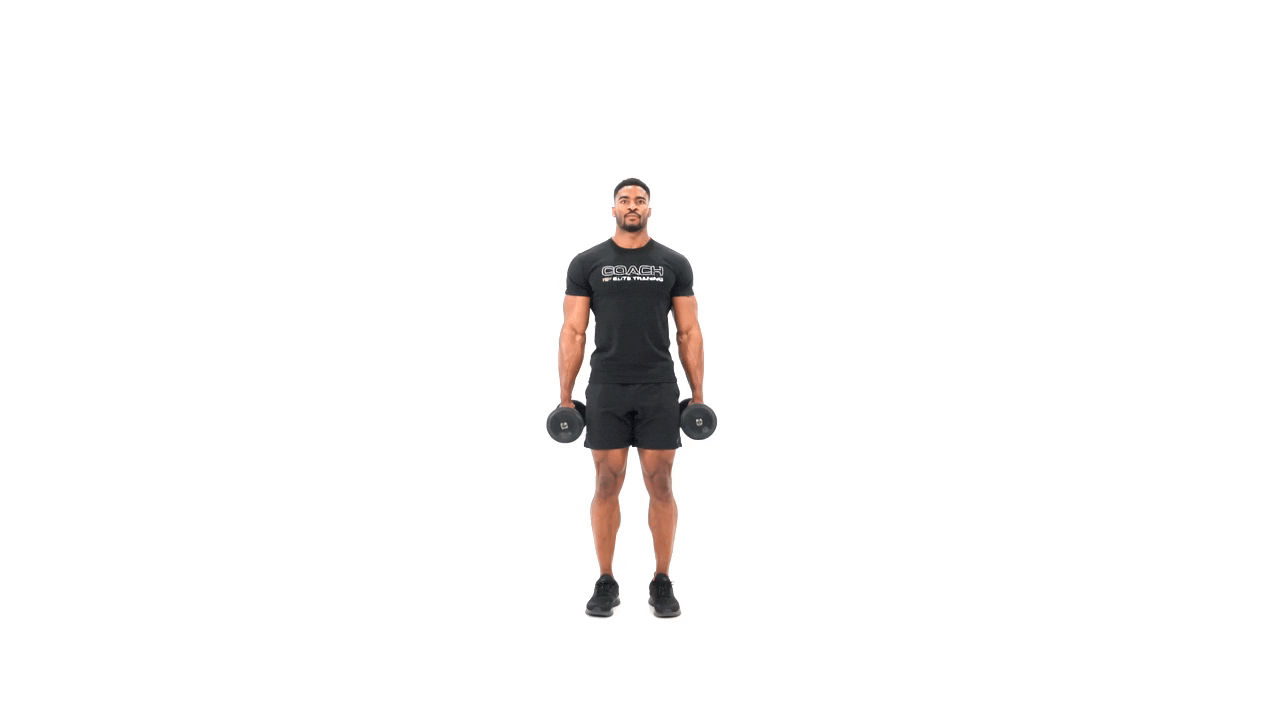 Dumbbell Shrug