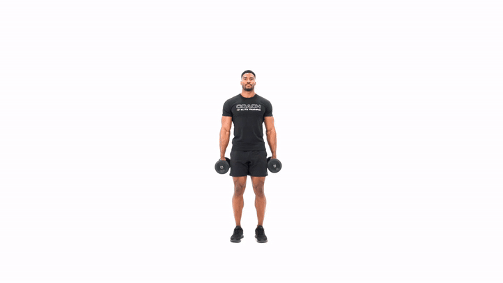 Dumbbell Shrug