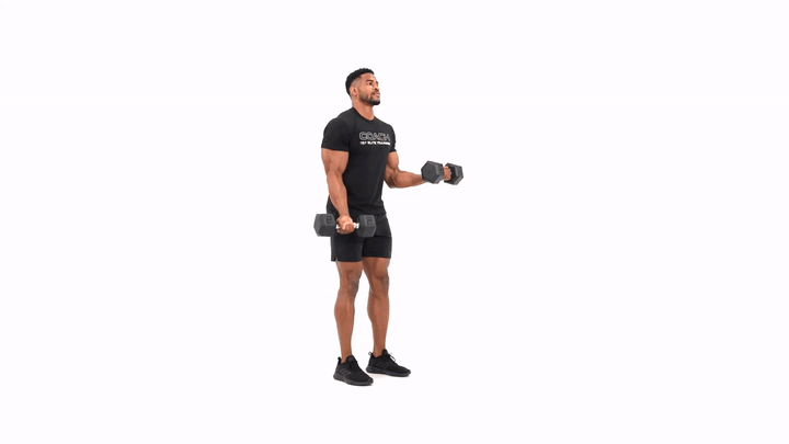 Dumbbell Single Arm Curl with ISO Hold