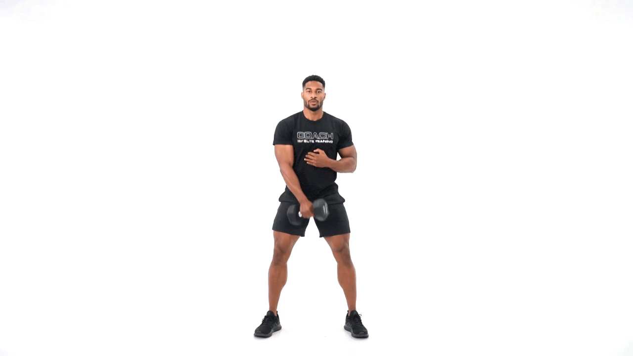 Dumbbell Snatch