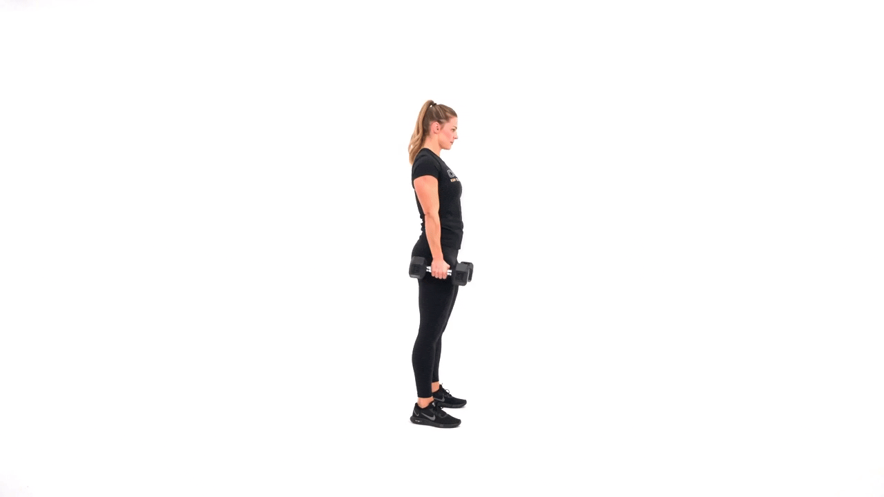 Dumbbell Squat Clean