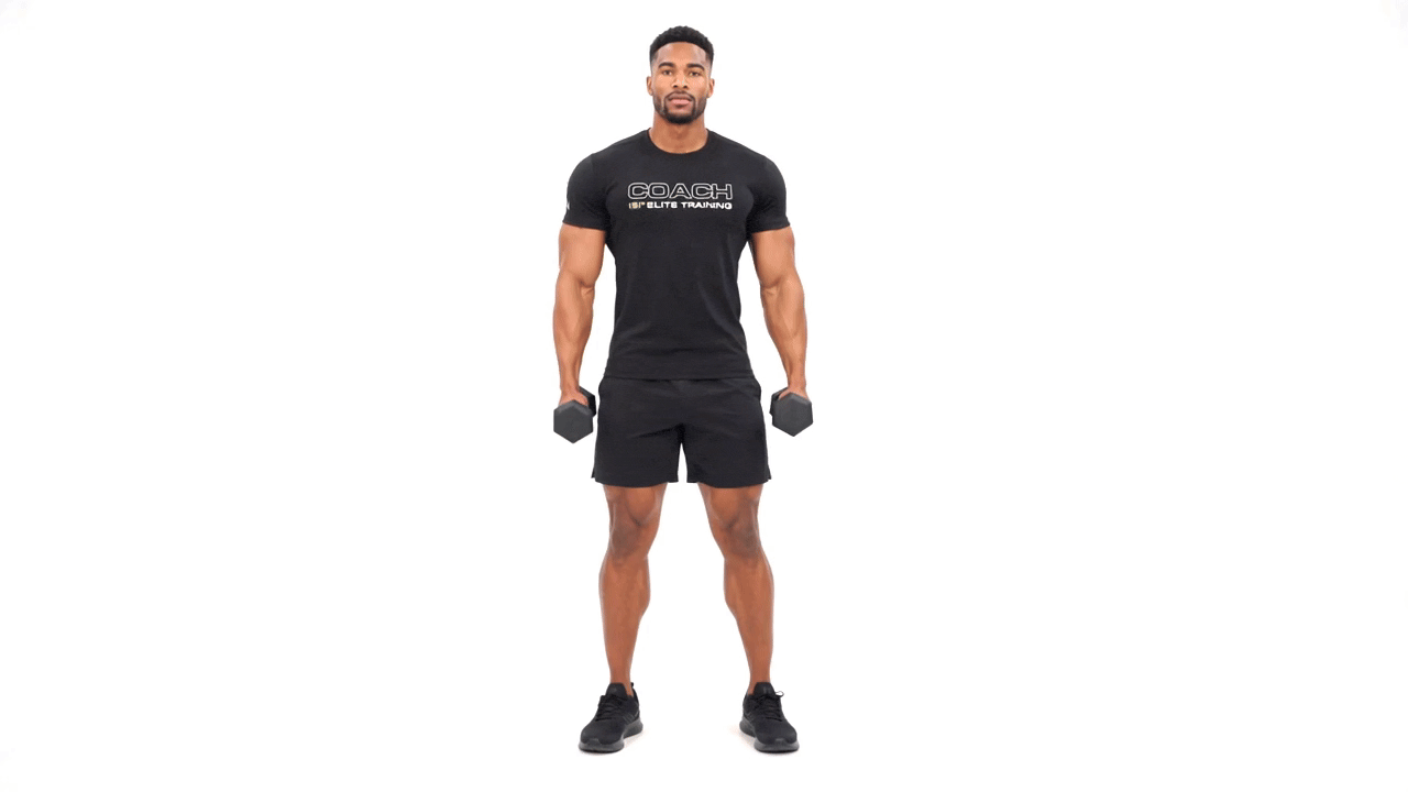 Dumbbell Standing Chest Fly
