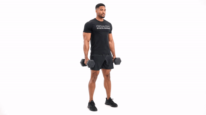 Dumbbell Suitcase Squat