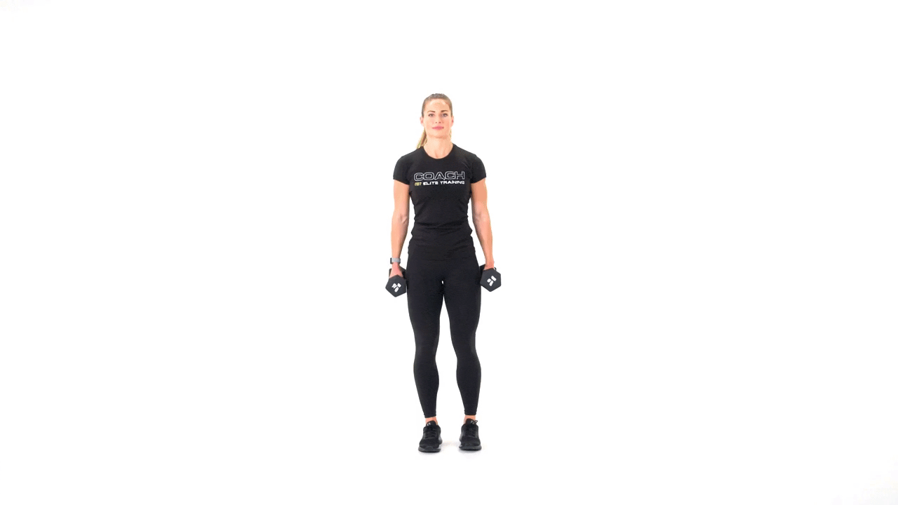 Dumbbell T Hammer Curl