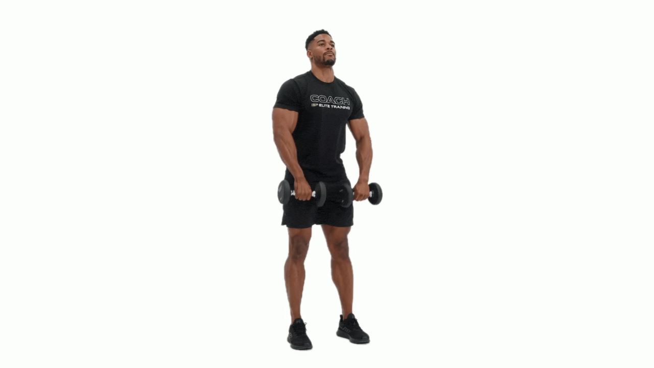 Dumbbell Upright Row