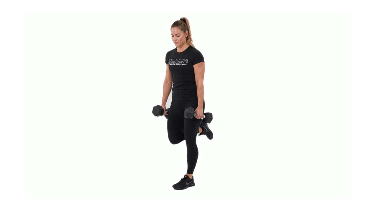 Dumbbell Wall Mount RDL