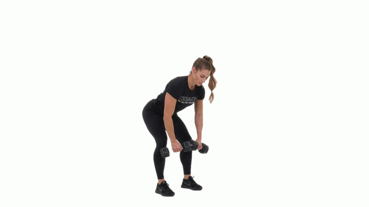Dumbbell Wide Bent Over Fly