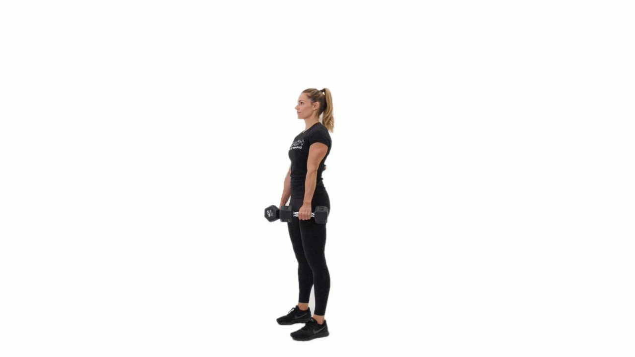 Dumbbell Wrist Rolls
