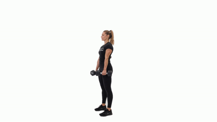 Dumbbell Wrist Rolls
