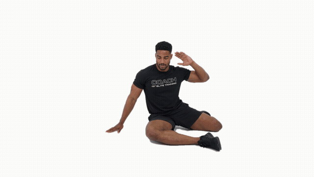 FIGURE 4 TWISTS