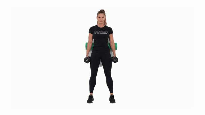 Foam Roller Hack Squat