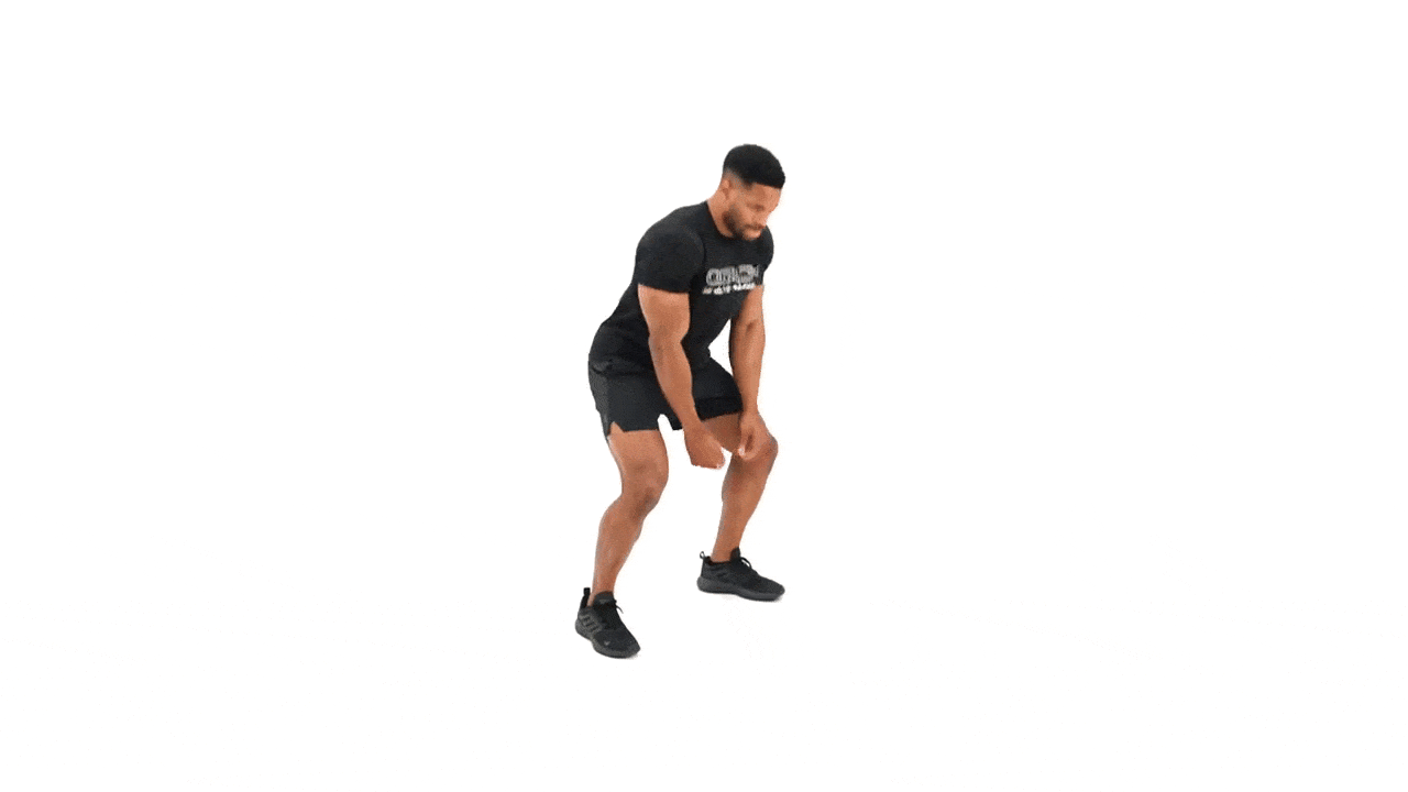 Gorilla Bounce