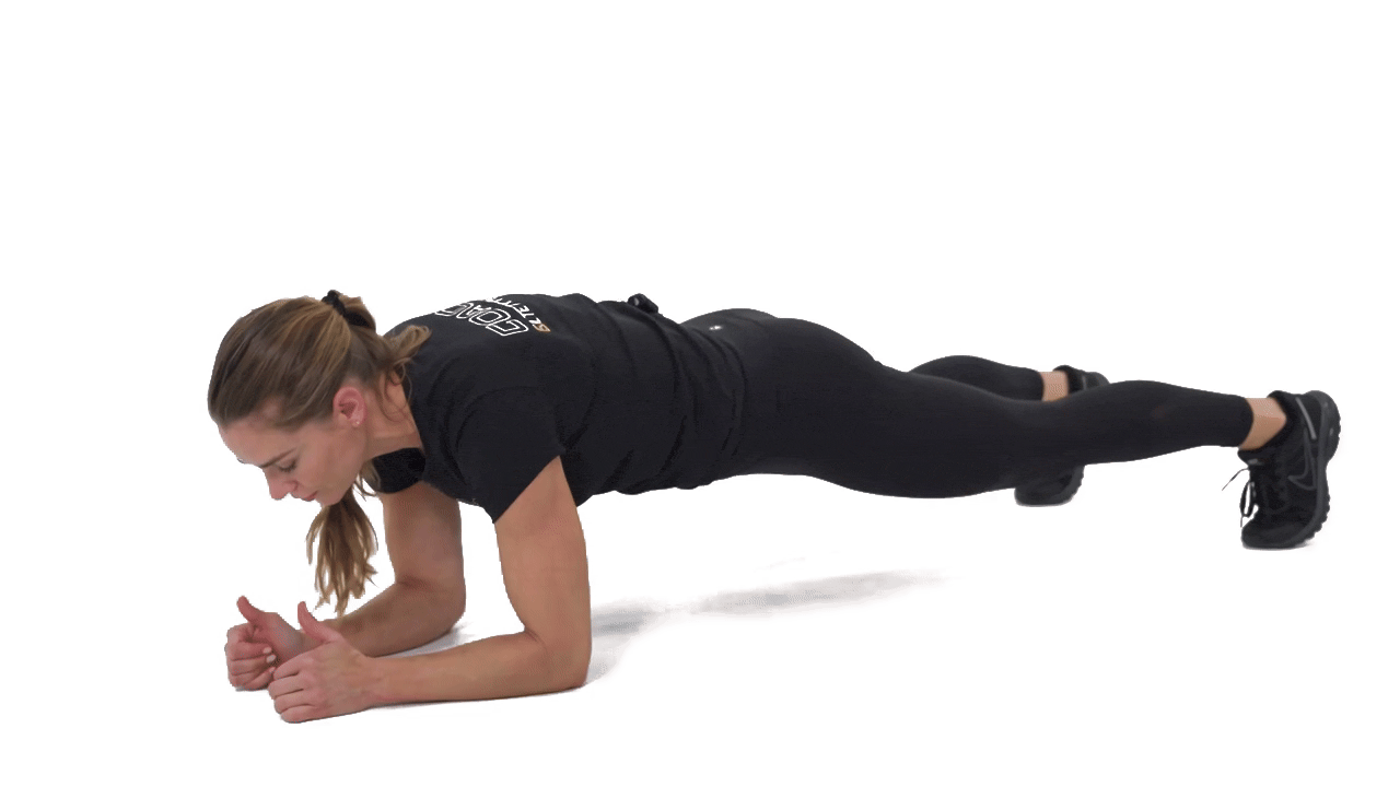 Hi Lo Plank to Knee Tap