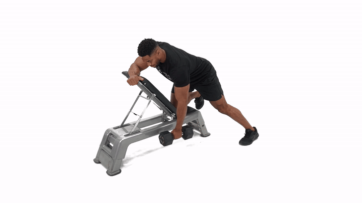 Incline Bench Supported Dumbbell Single Arm Row