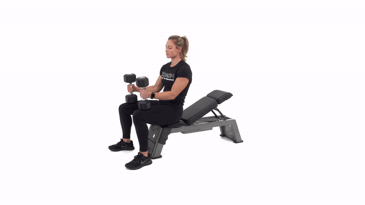 Incline Dumbbell Hex Press to Fly