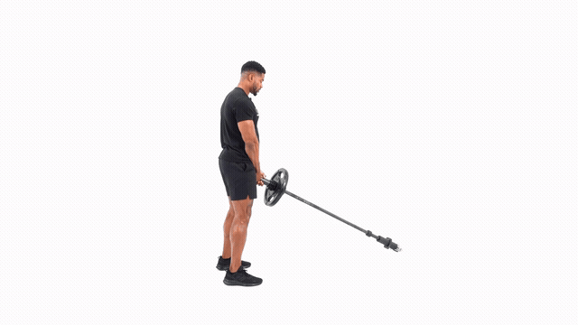 Landmine RDL